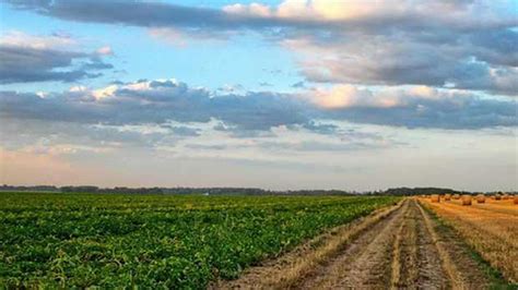 G­ü­n­e­y­ ­A­f­r­i­k­a­ ­C­u­m­h­u­r­i­y­e­t­i­­n­d­e­ ­7­0­0­ ­B­i­n­ ­H­e­k­t­a­r­ ­T­a­r­ı­m­ ­A­r­a­z­i­s­i­ ­H­a­l­k­a­ ­D­a­ğ­ı­t­ı­l­ı­y­o­r­